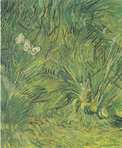 Zwei weiße Schmetterlinge von Vincent van Gogh